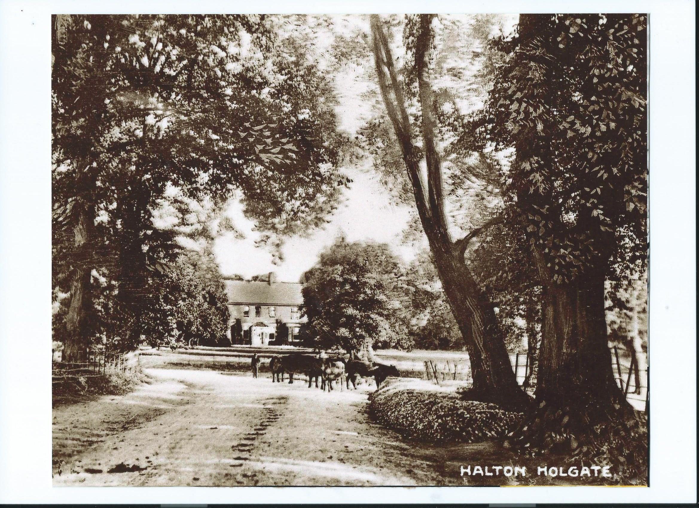 Halton Holegate