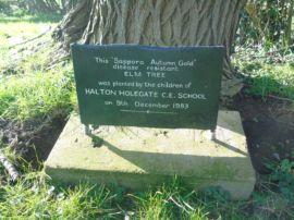 School tree plaque in st andews churchyard